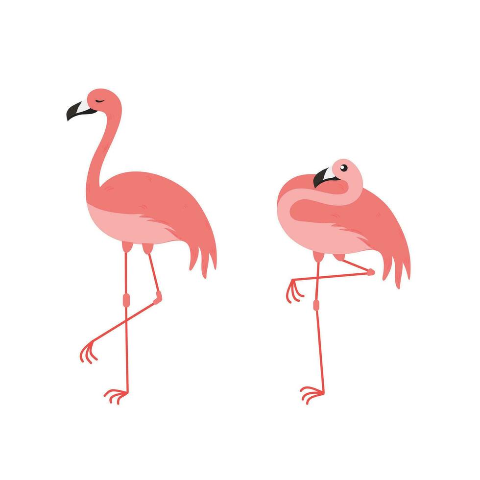 rosa flamingo tecknad serie illustration isolerat i vit bakgrund. sommar djur- illustration vektor