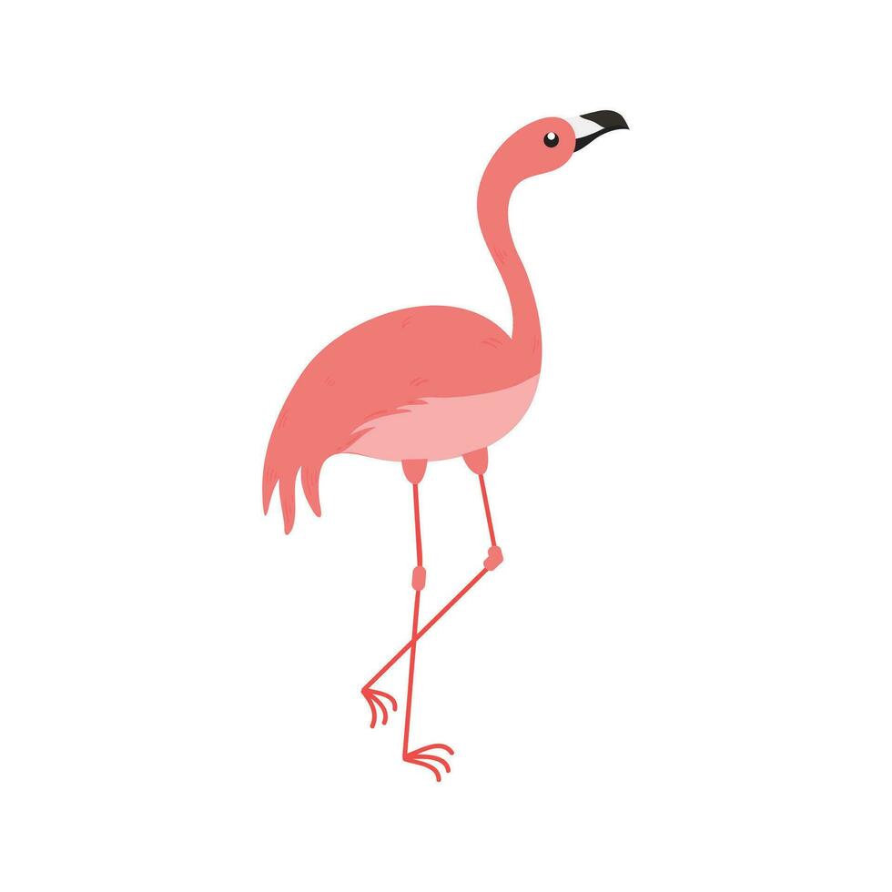 Rosa Flamingo Karikatur Illustration isoliert im Weiß Hintergrund. Sommer- Tier Illustration vektor