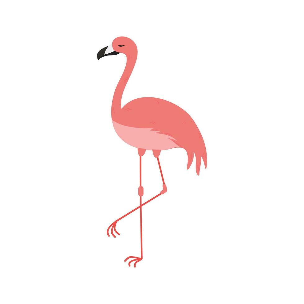 rosa flamingo tecknad serie illustration isolerat i vit bakgrund. sommar djur- illustration vektor