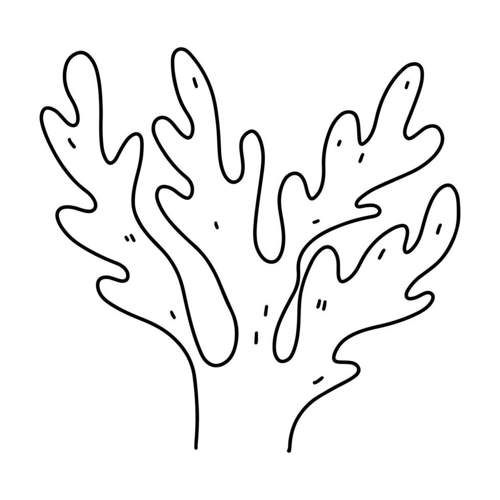 Seetang. Ozean Pflanze. Hand gezeichnet Gekritzel Stil. Vektor Illustration isoliert auf Weiß. Färbung Buchseite.