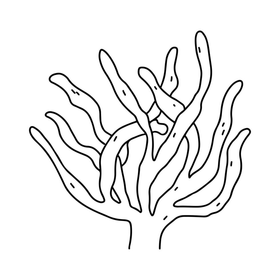 Seetang. Ozean Pflanze. Hand gezeichnet Gekritzel Stil. Vektor Illustration isoliert auf Weiß. Färbung Buchseite.