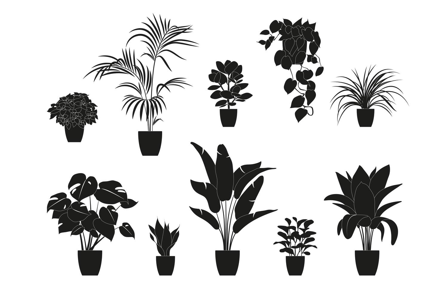Sammlung Silhouetten von Zimmerpflanzen in schwarzer Farbe. Topfpflanzen isoliert auf weiss. Set grüne tropische Pflanzen. trendige Wohnkultur mit Zimmerpflanzen, Pflanzgefäßen, tropischen Blättern. vektor