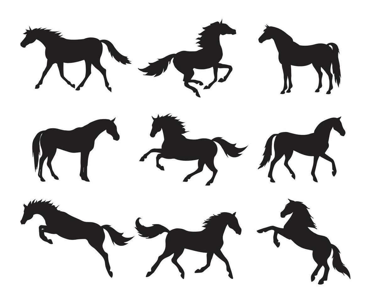 Vektor einstellen von Pferd Rassen Silhouette
