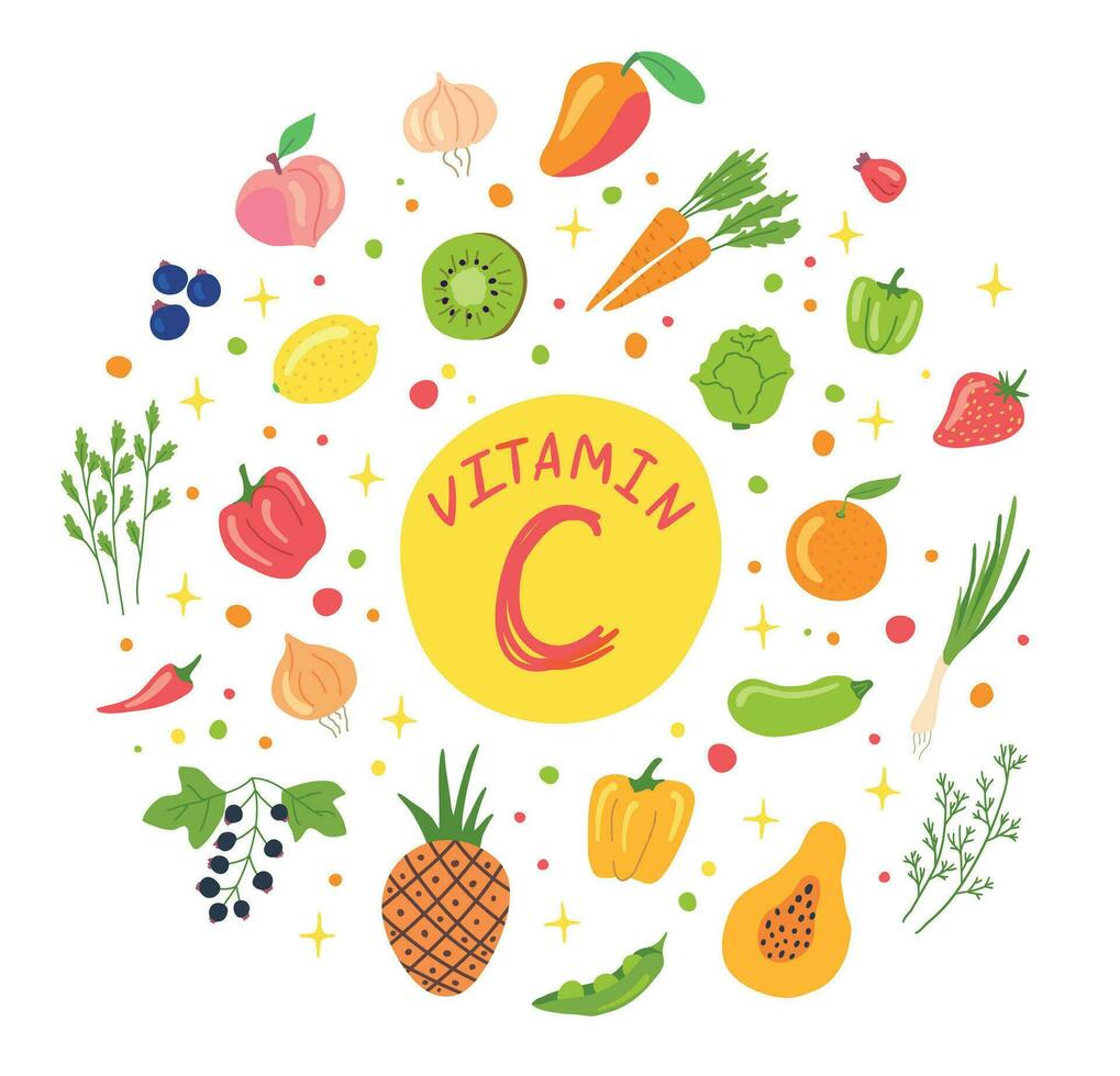 Karikatur Farbe Vitamin c Quellen Konzept Banner Poster Karte. Vektor