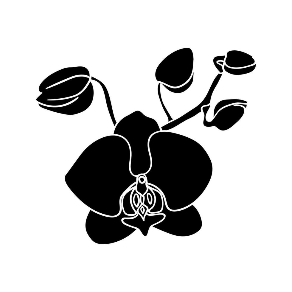 Silhouette von ein Orchidee Blume und klein Knospen. ein einfach Knospe von ein tropisch Blume. botanisch Muster vektor