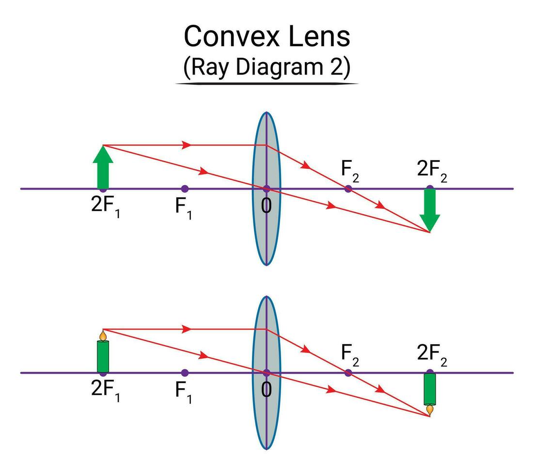 konvex lins stråle diagram 2 vektor