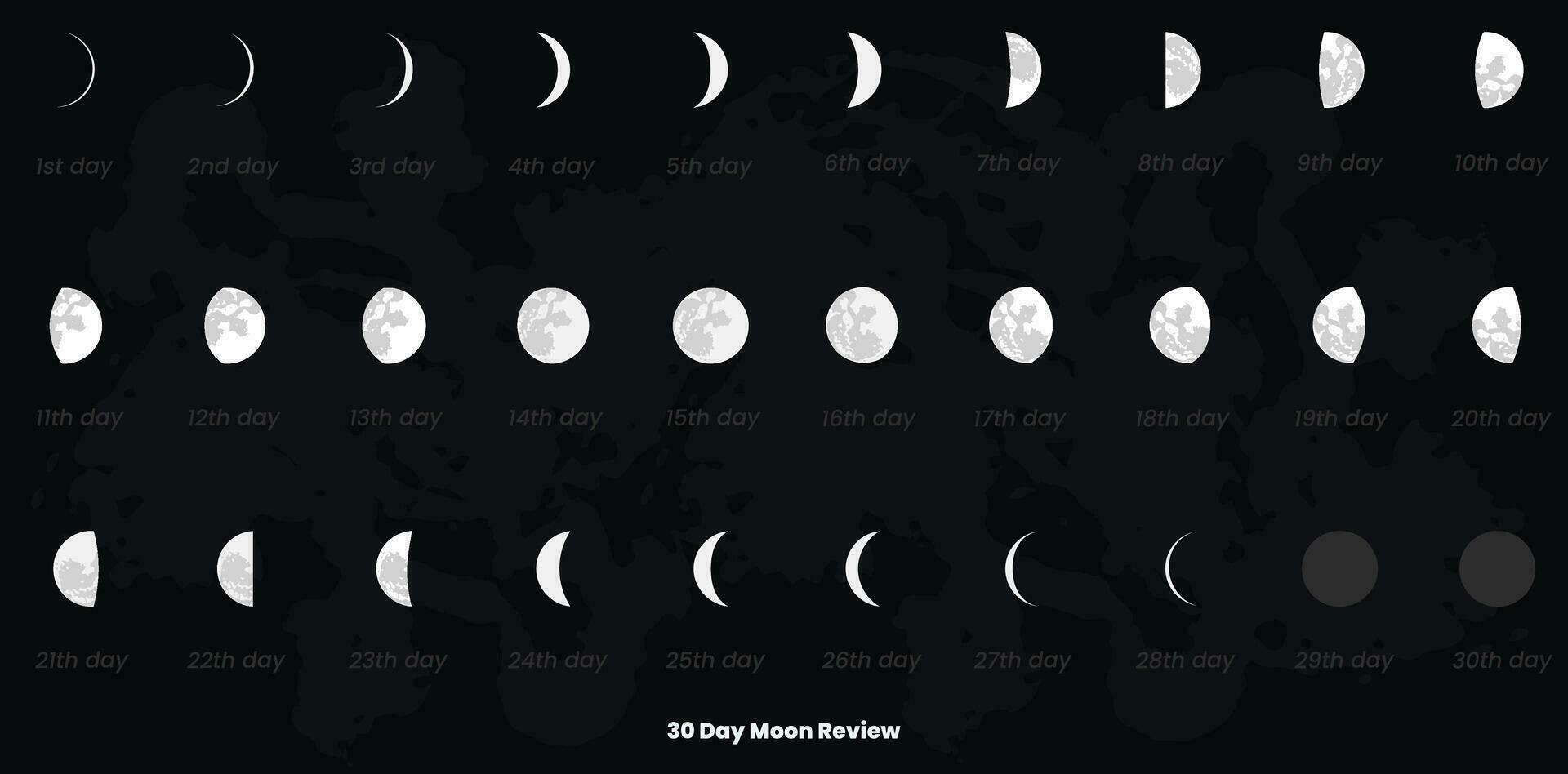 30 Tag Mond Phasen und Mond Kalender vektor