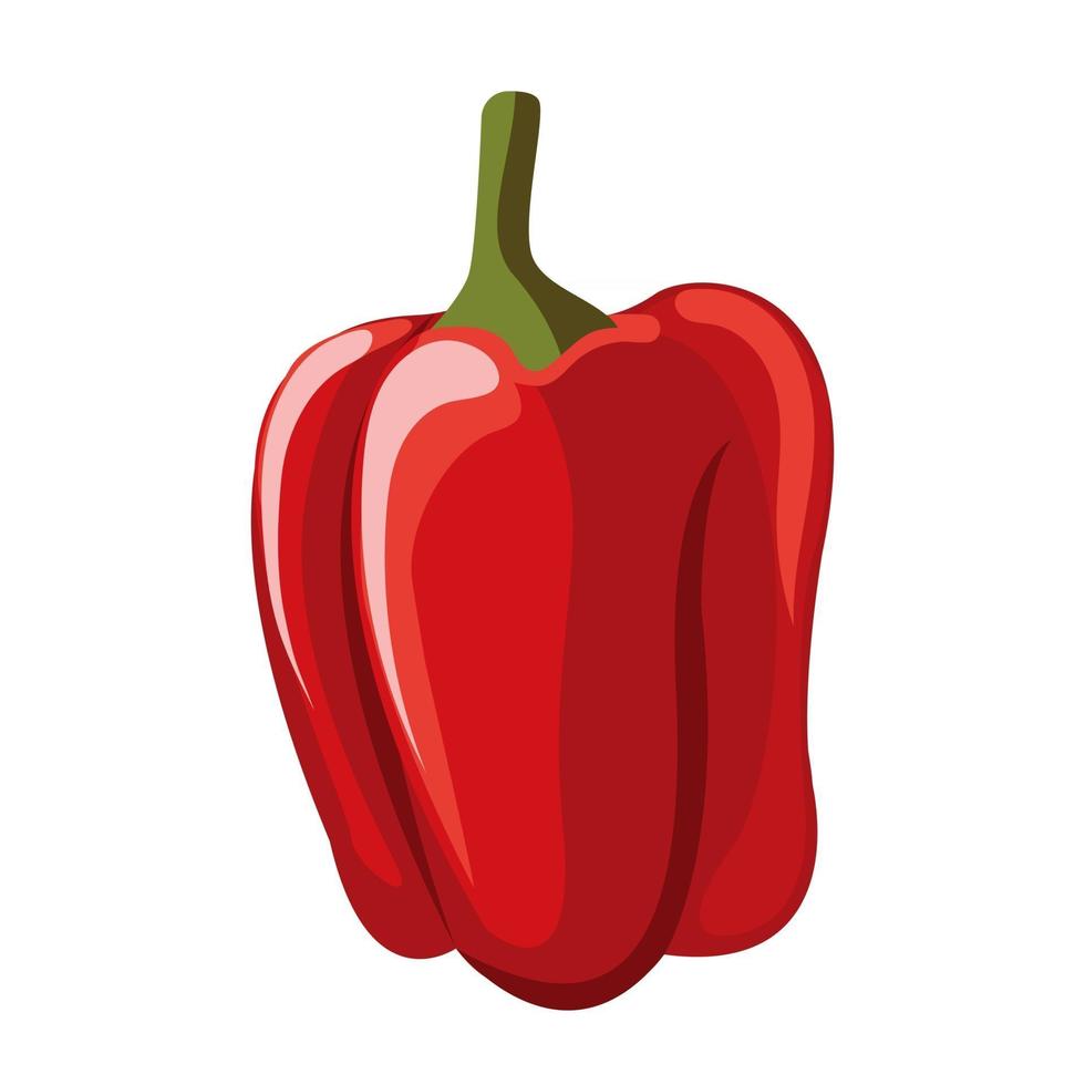 tecknad vektorillustration isolerat objekt färsk mat vegetabilisk röd paprika vektor