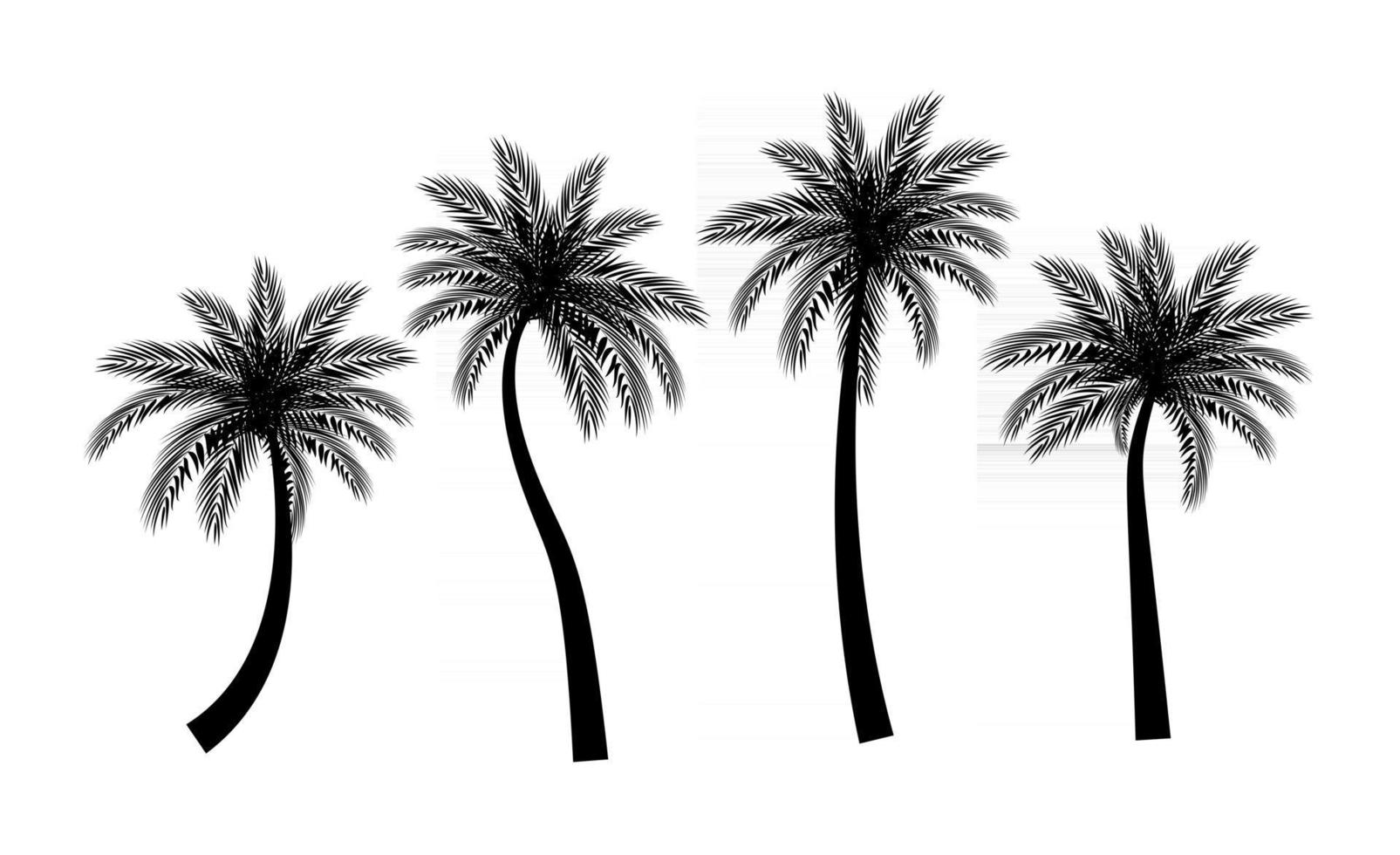 beautifil palmträd silhuett samling uppsättning vektorillustration vektor