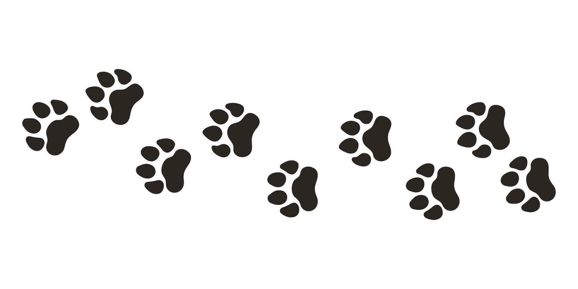 tiger tassar. djur- Tass grafik, vektor annorlunda djur fotspår svart på vit bakgrund illustration