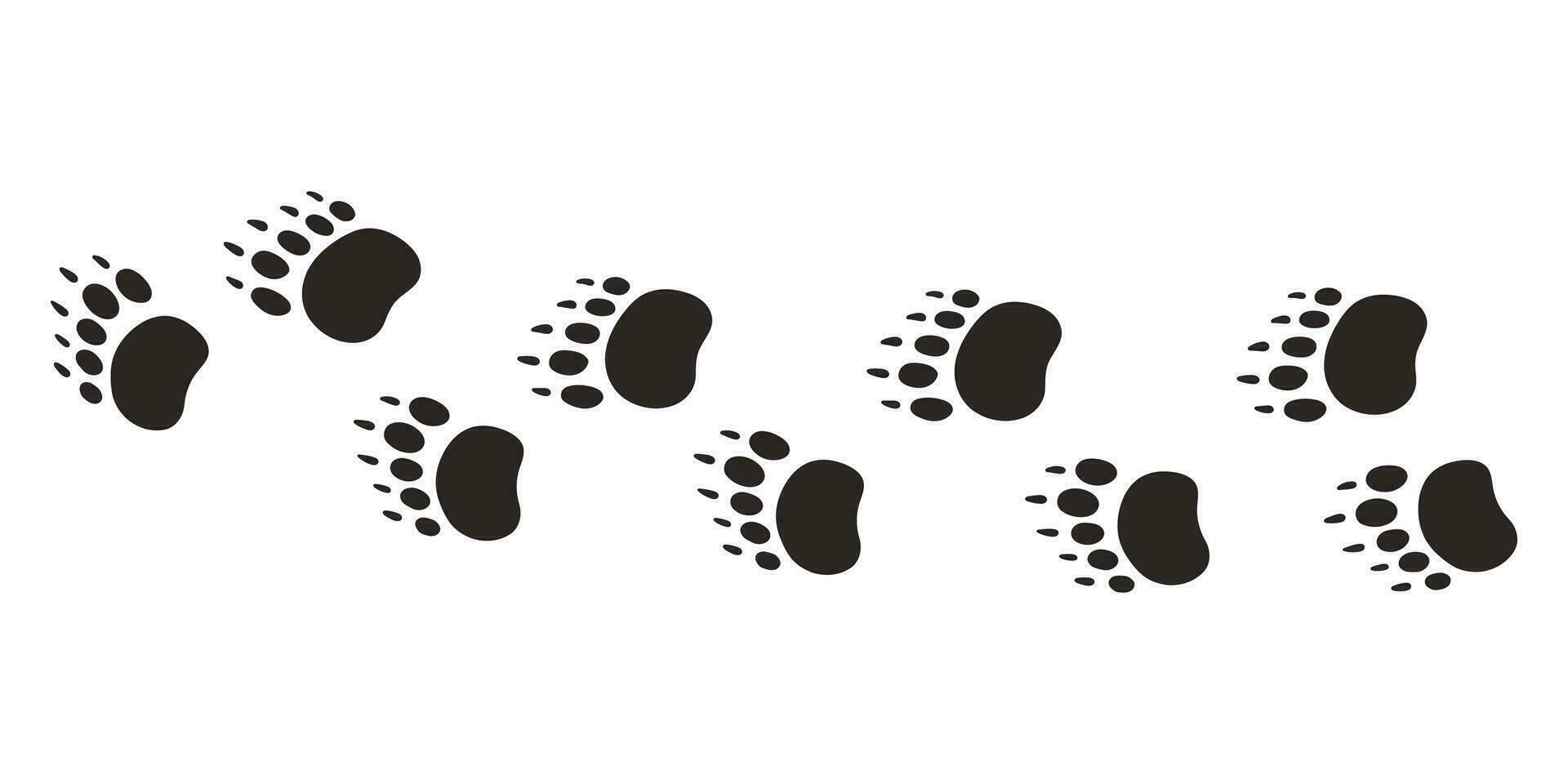 Björn tassar. djur- Tass grafik, vektor annorlunda djur fotspår svart på vit bakgrund illustration