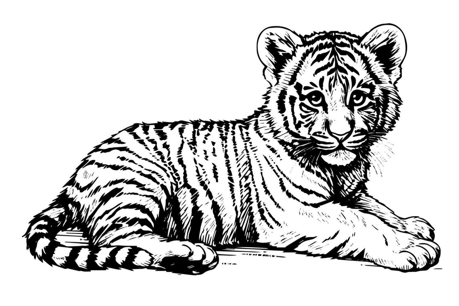 Hand gezeichnet Gravur Stil skizzieren von ein Tiger Jungtier, Vektor Tinte Illustration.