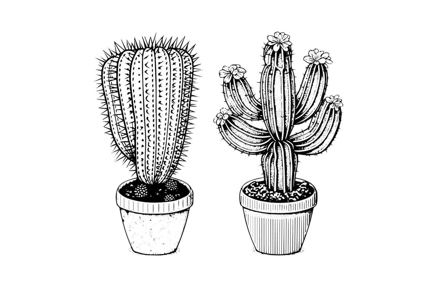 uppsättning av kaktusar hand dragen bläck skiss. gravyr stil vektor illustration.