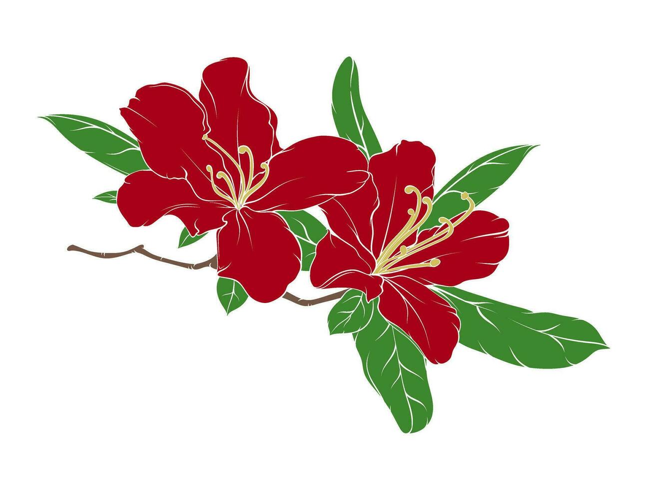 gren med blommor och löv av rhododendron, hibiskus, kinesisk reste sig med blommor och löv. färgade glas illustration vektor