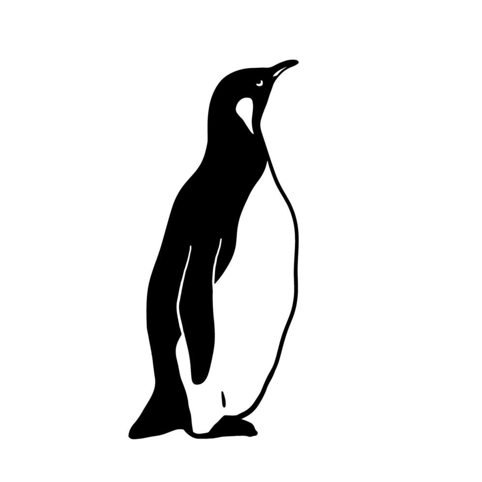 König Pinguin. einfarbig Vektor Illustration. realistisch Polar- Tier