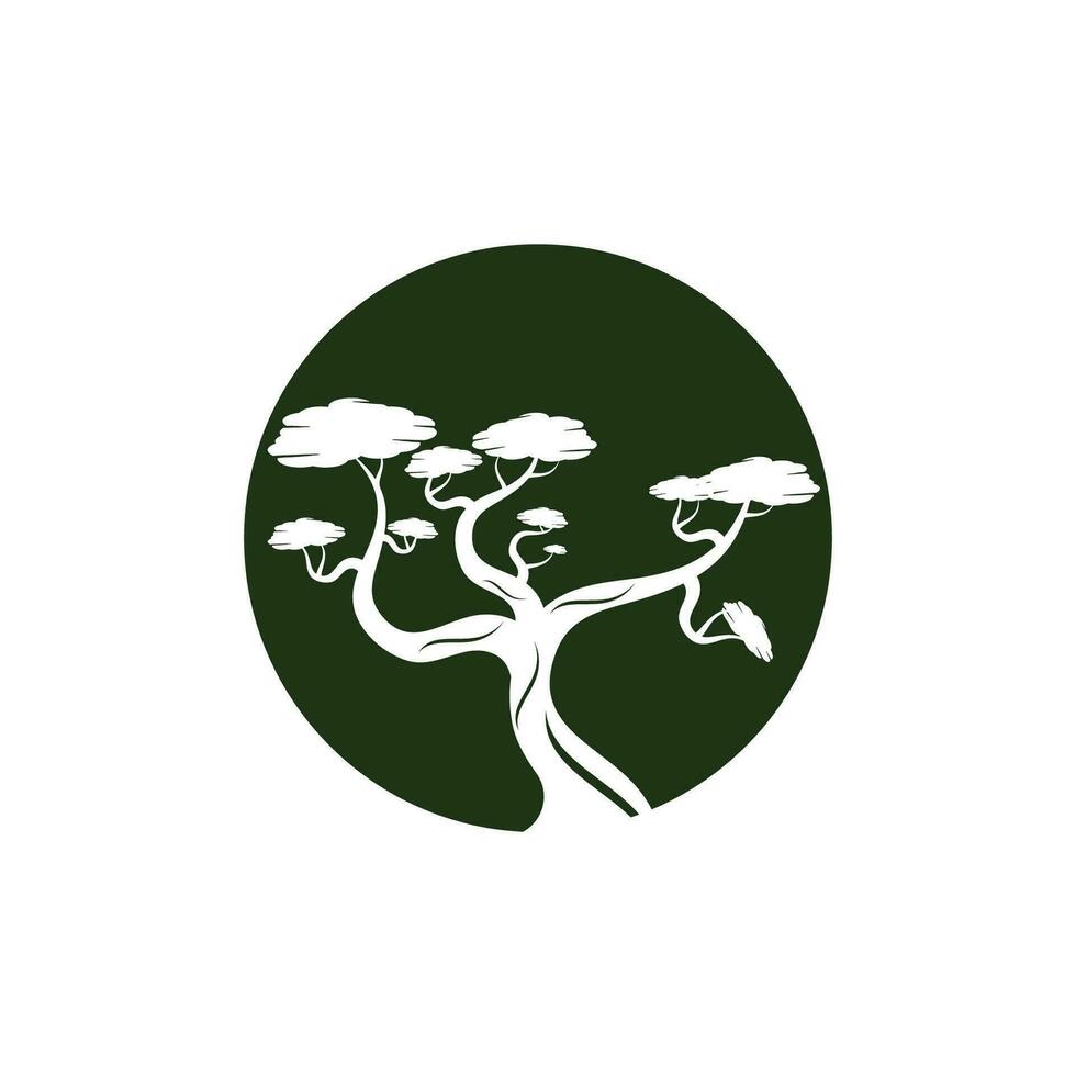 bonsai logotyp design. japansk mini små växt träd silhuett logotyp design vektor