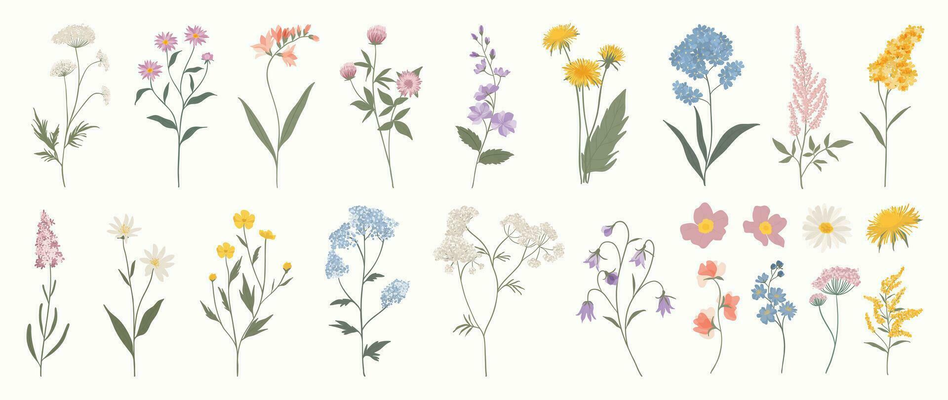 Sammlung von Blumen- und botanisch Elemente. einstellen von Blatt, Laub Wildblumen, Pflanzen, blühen, Blätter und Kraut. Hand gezeichnet von blühen Frühling Jahreszeit Vektoren zum Dekor, Webseite, Grafik und Geschäft.