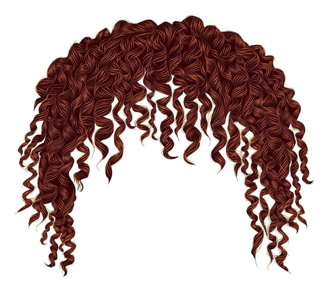 modisch lockig zerzaust afrikanisch rot Haar . realistisch 3d . Mode Schönheit Stil .unisex Frauen männer.afro vektor