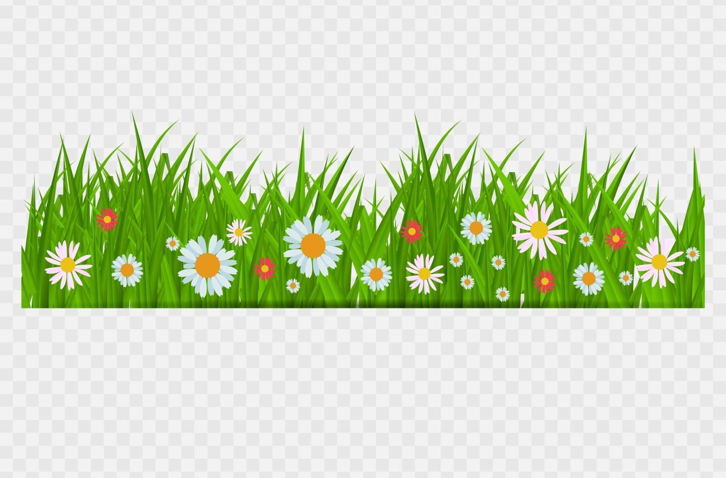 Brighgrass und Blumengrenze, Grußkartendekorationselement für Ostern auf einem transparenten Hintergrund. Vektor-Illustration saftiges grünes Gras auf einem transparenten Hintergrund. Vektor-Illustration. vektor