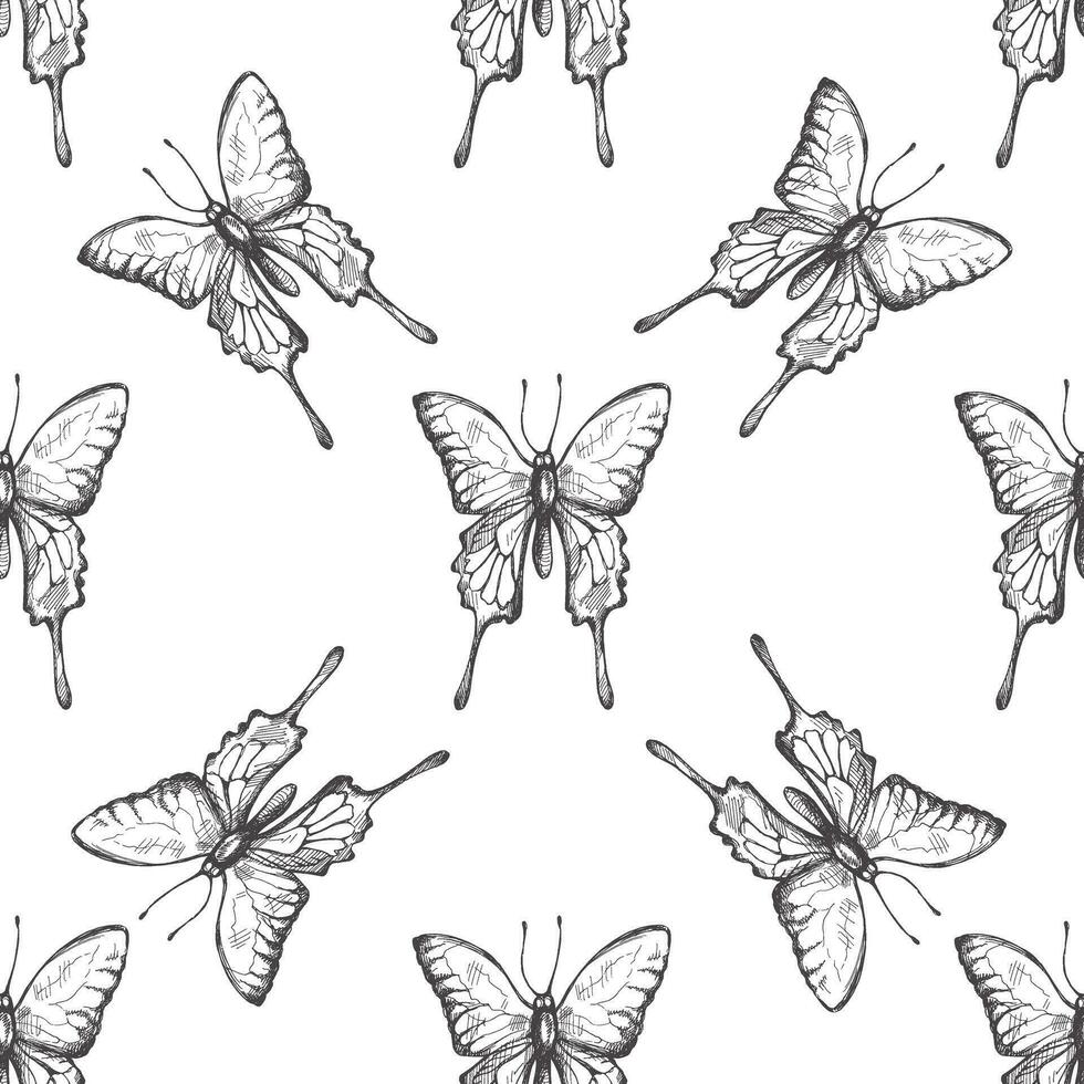 hand dragen fjäril sömlös mönster. svartvit insekter klotter. svart och vit årgång element. vektor skiss. detaljerad retro stil.