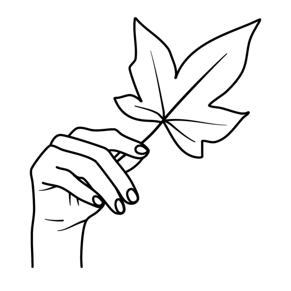 Hand halten fallen Blatt Herbst Illustration vektor