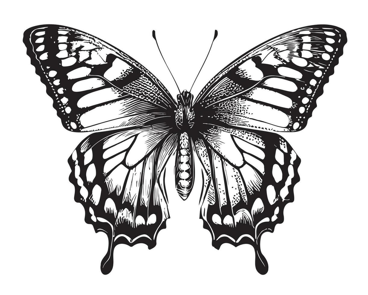 Schmetterling schön Hand gezeichnet skizzieren Vektor Illustration Insekten