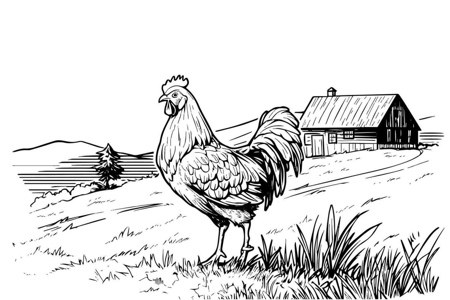 kycklingar i bruka skiss. lantlig landskap i årgång gravyr stil vektor illustration.