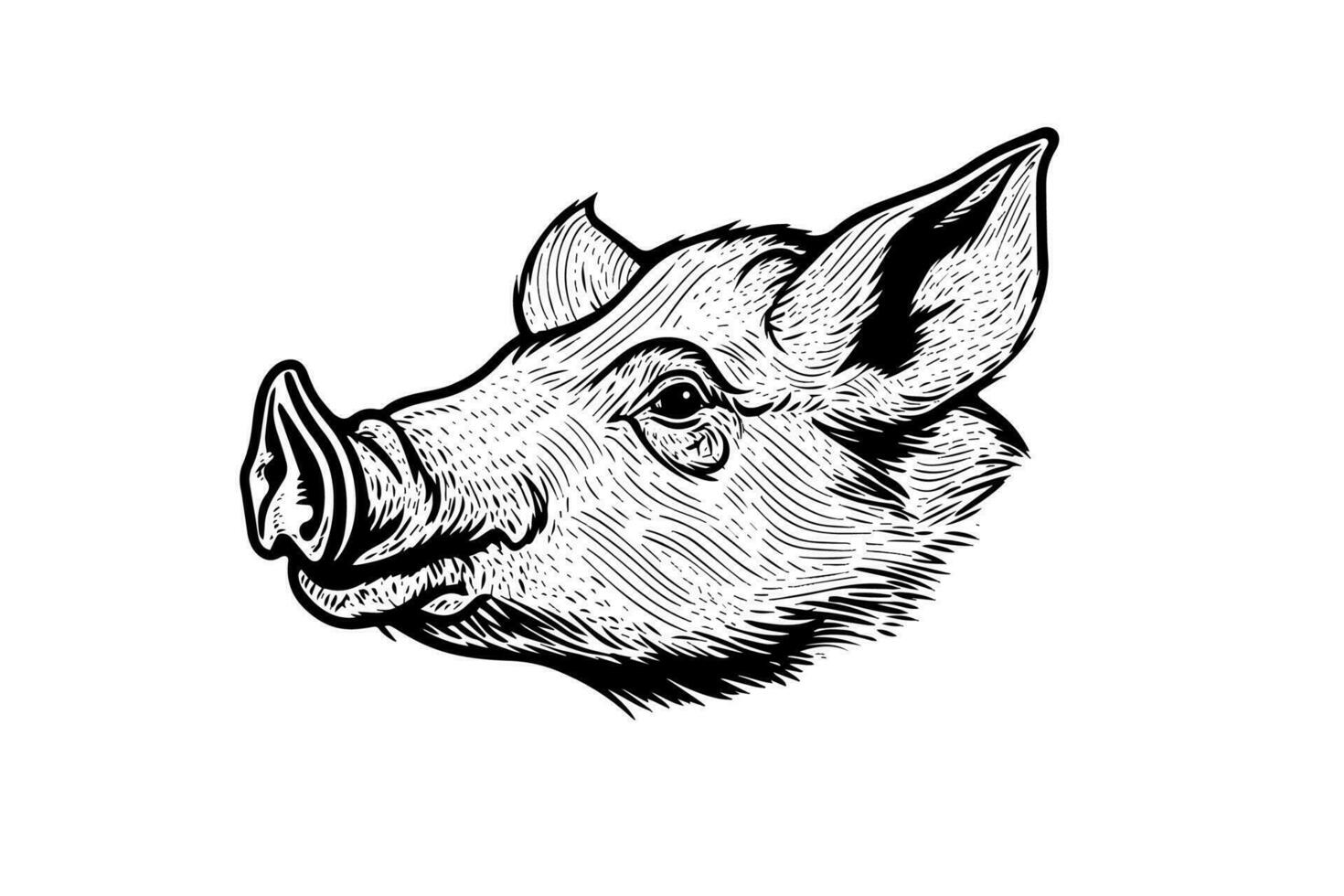 söt gris eller fläsk huvud gravyr stil vektor illustration.