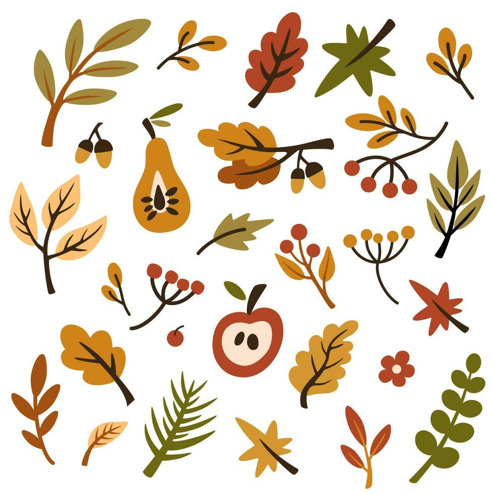 Herbst Blätter Sammlungen. anders Herbst Blätter, Beeren und Eicheln. isoliert Vektor Illustration. Design zum Aufkleber, Logo, Netz und Handy, Mobiltelefon App.