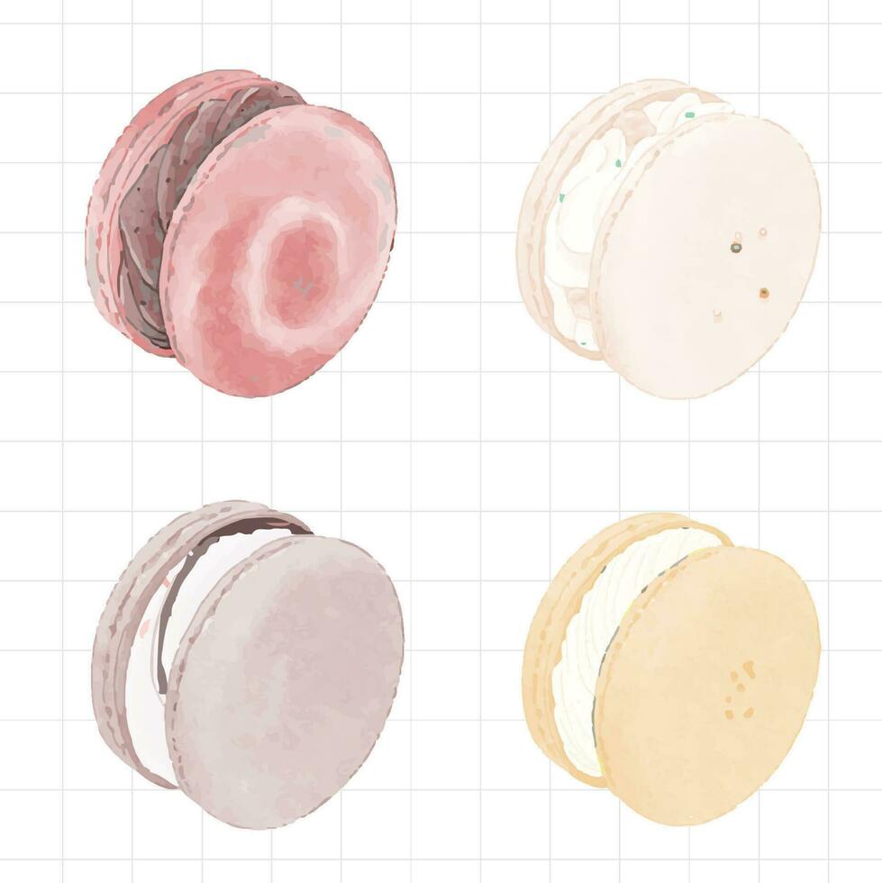 vier anders farbig Macarons sind gezeigt auf ein Weiß Hintergrund vektor