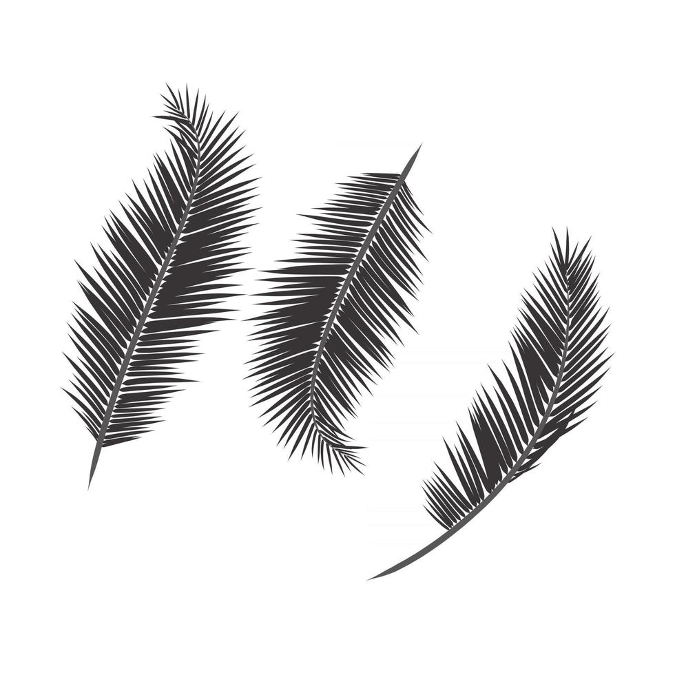 lämnar palmträdet vektor