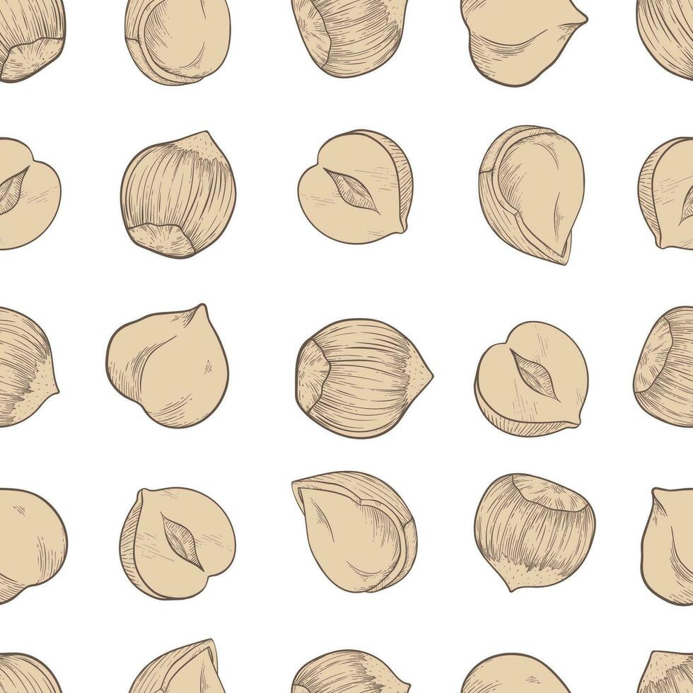 sömlös hasselnöt mönster med flera frukt nötter och kärnor i skiss stil. beige bakgrund för förpackning hasselnöt eller choklad, nöt klistra vektor