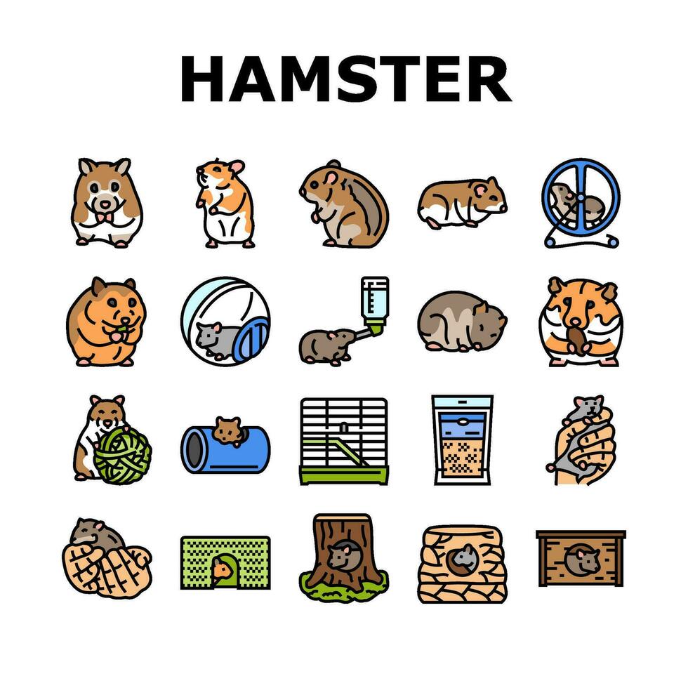 Hamster süß Tier Haustier Symbole einstellen Vektor