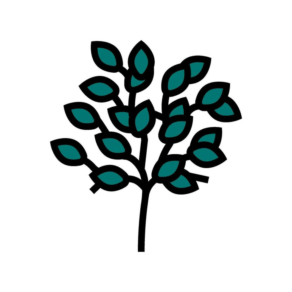 Sakaki Baum Ast Schintoismus Farbe Symbol Vektor Illustration