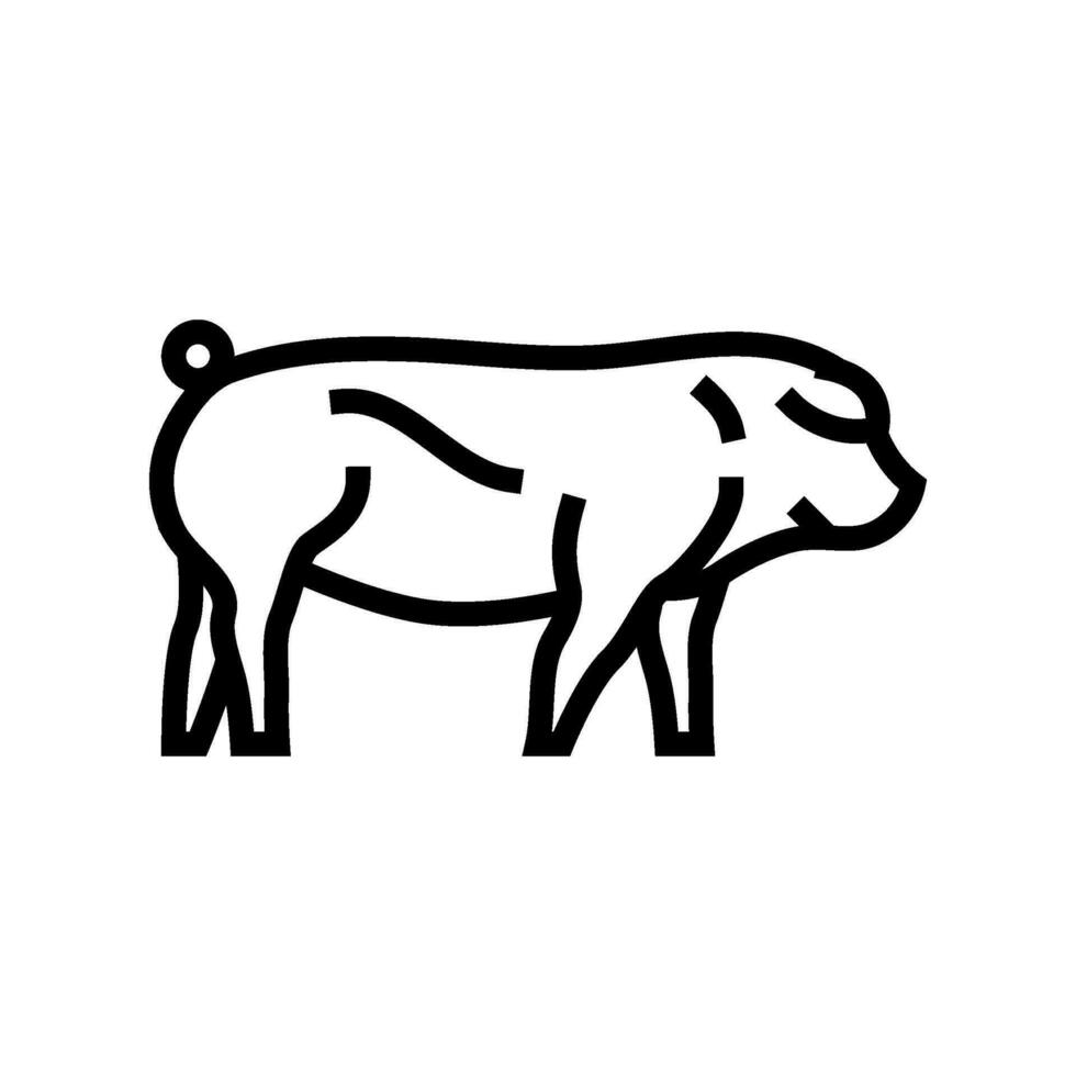duroc Schwein Rasse Linie Symbol Vektor Illustration