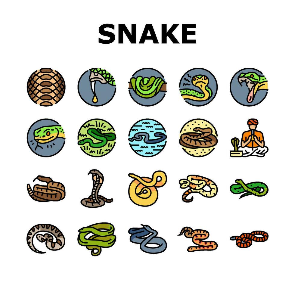 orm svart orm huggorm kobra ikoner uppsättning vektor