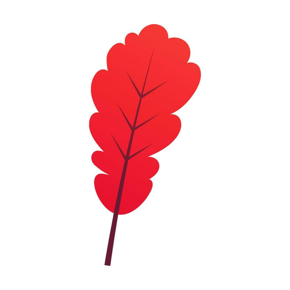 röd höst ek blad vektor