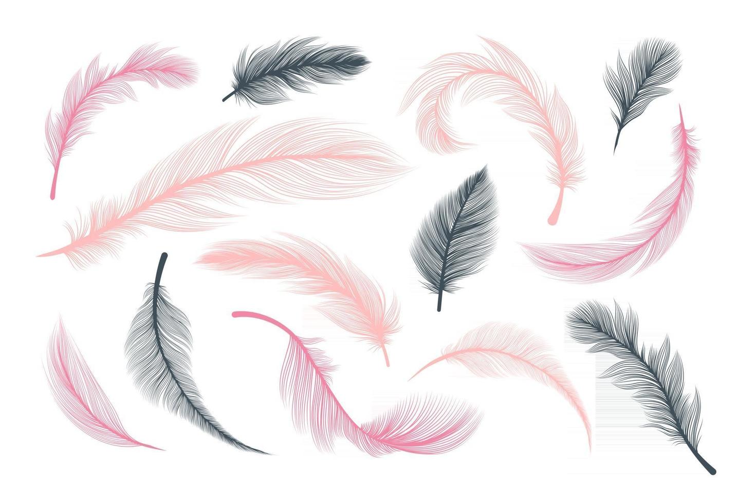 fluffiga fjädrar, abstrakta rosa och svarta plymer vektor