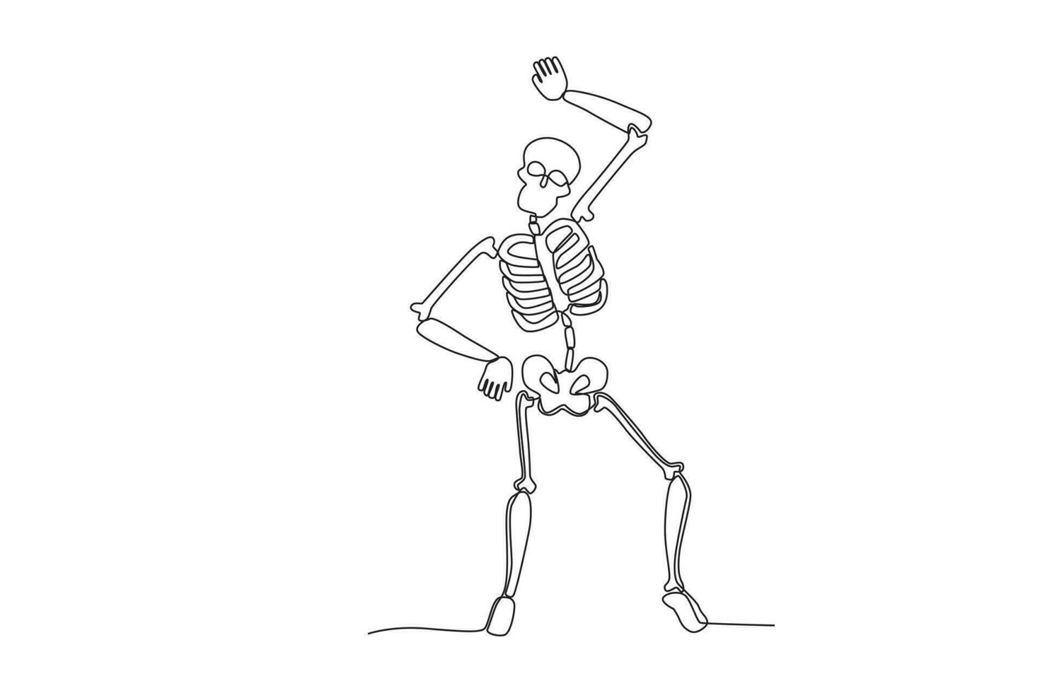 ein Mensch Skelett posieren komisch vektor