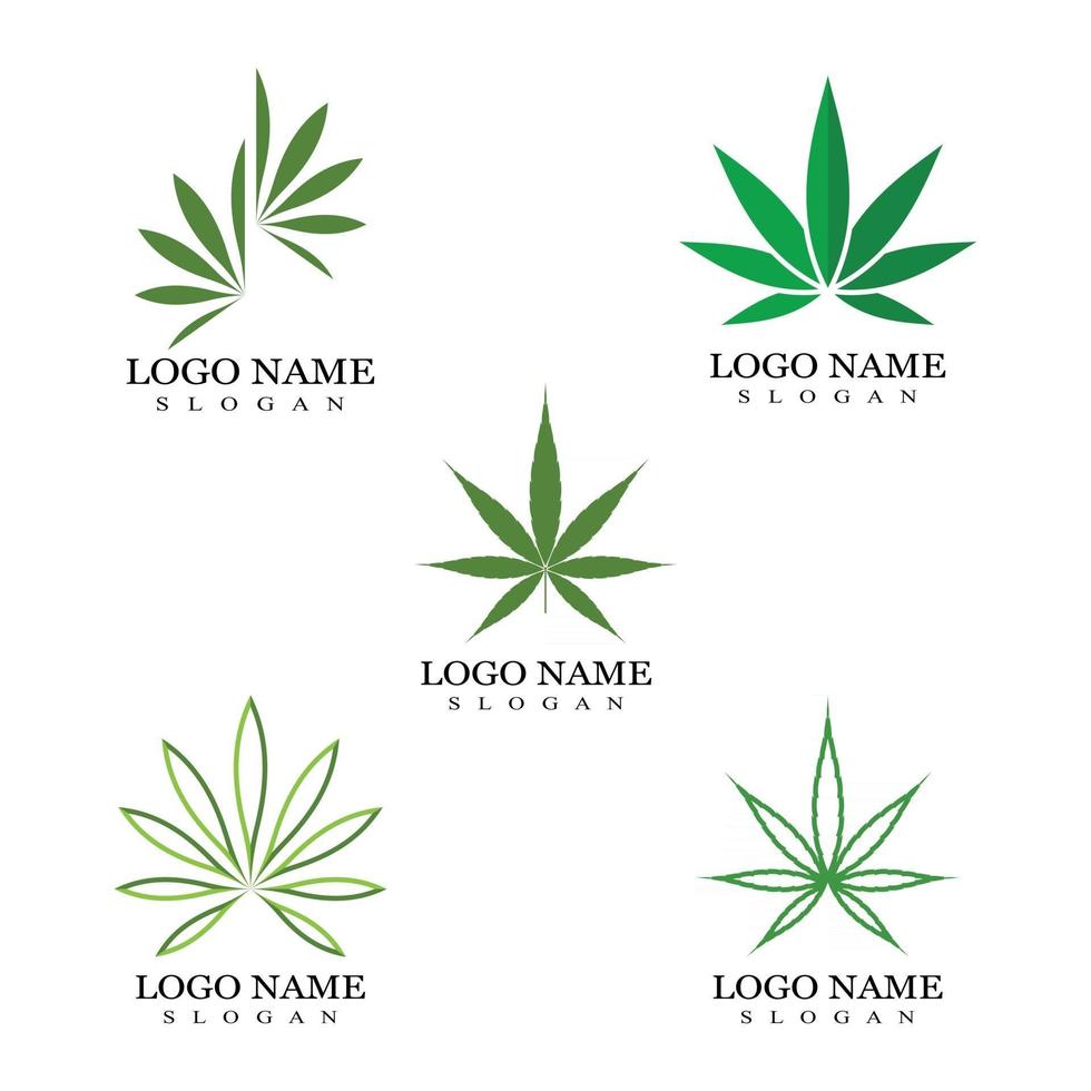 cannabis marijuana hampa blad logotyp och symbol vektor