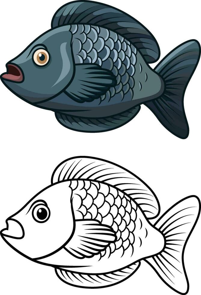 tilapia fisk tecknad serie vektor illustration, oreokrom niloticus , nile tilapia ciklid fisk färgad och svart och vit linje konstverk stock vektor bild