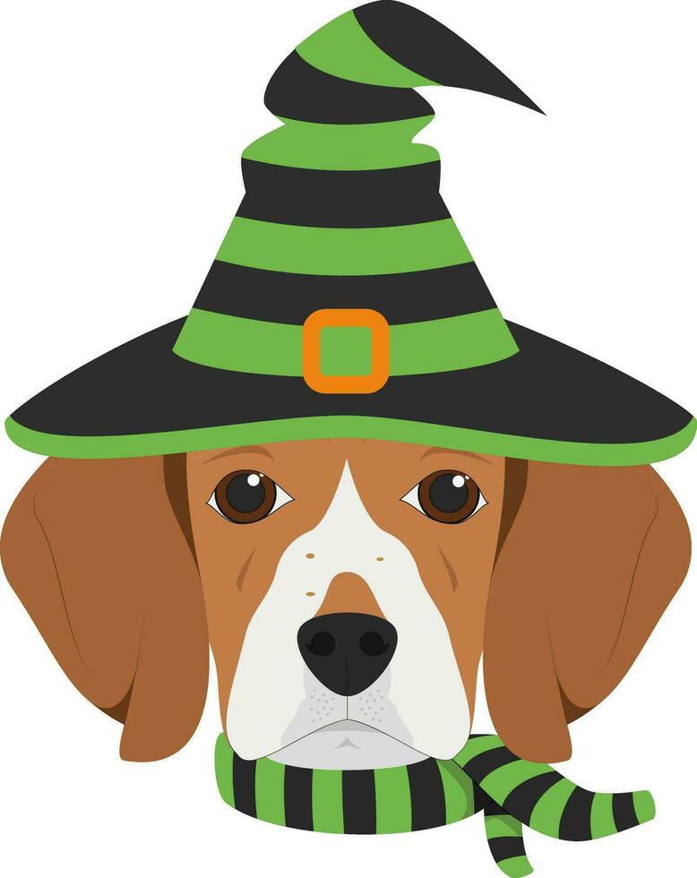 halloween hälsning kort. beagle hund klädd som en häxa med svart och grön hatt och scarf vektor