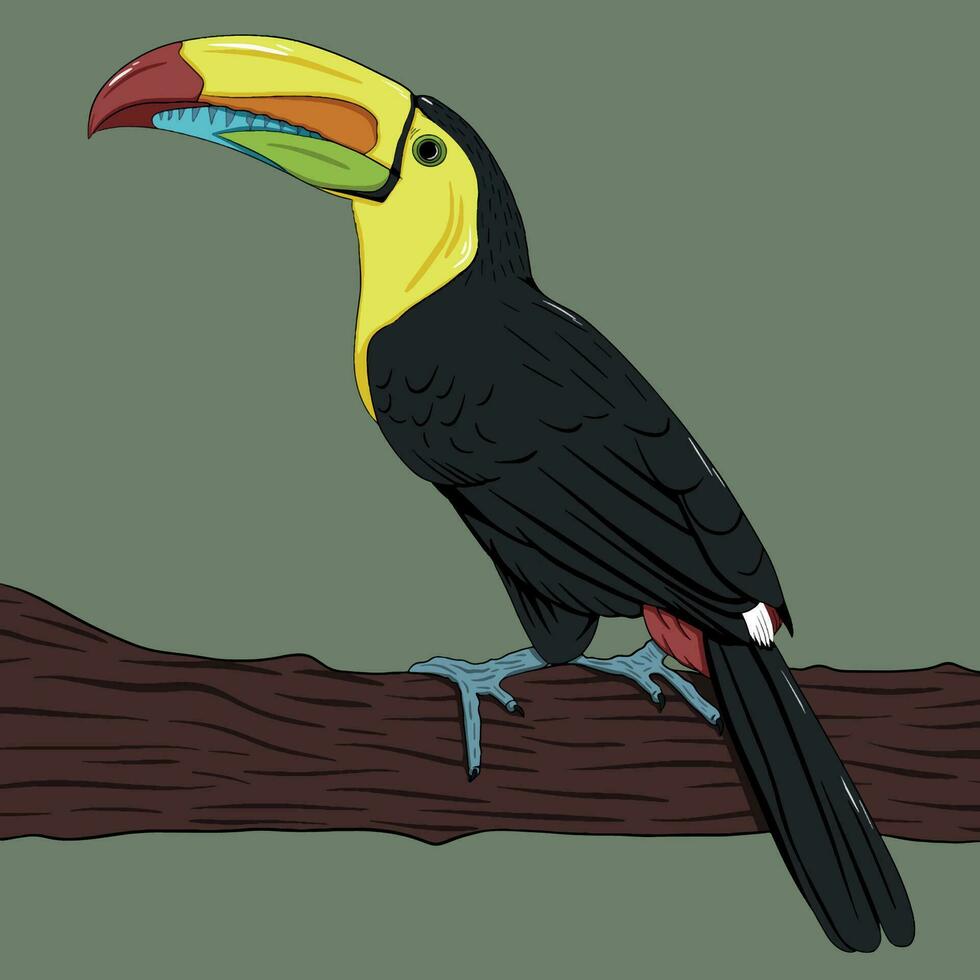 illustration av toucan på gren vektor