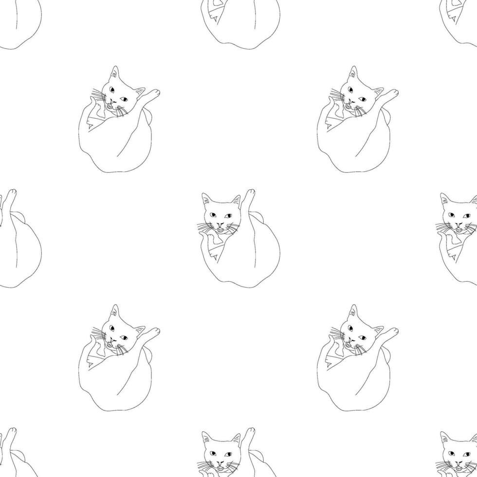 nahtlos Katze Muster. komisch Katze Hintergrund vektor