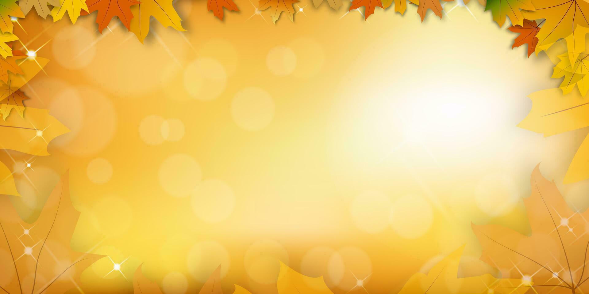 Herbst Hintergrund, fallen oder Ahorn Blätter Rand Rahmen mit Bokeh Natur Licht auf Orange Hintergrund, fallen Jahreszeit Konzept mit Ahorn Laub auf defokussiert Sonnenlicht bewirken mit Kopieren Raum vektor