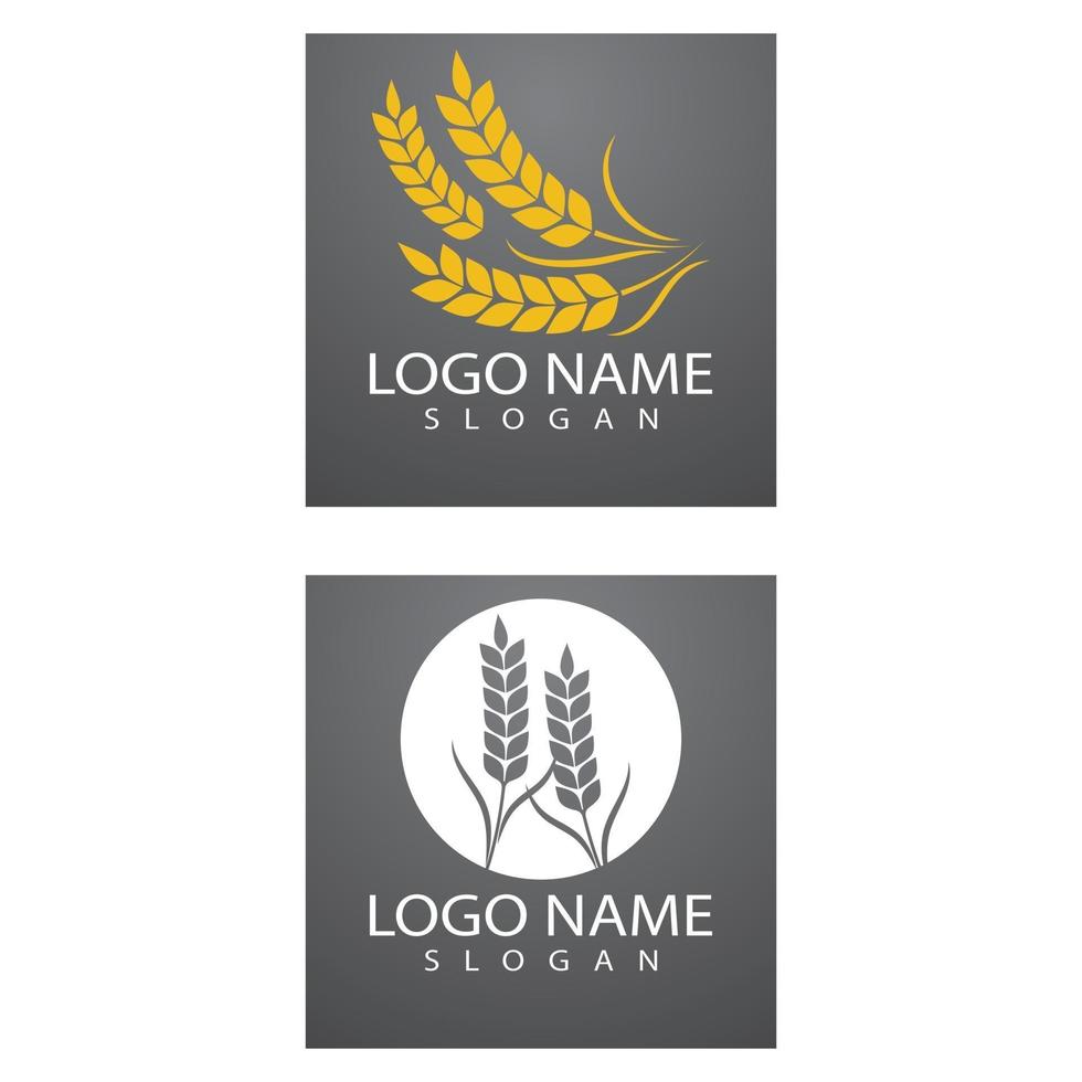 Landwirtschaft Weizen Logo Vorlage Vektor Icon Design