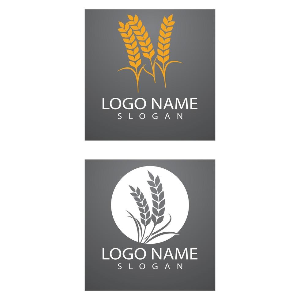 Landwirtschaft Weizen Logo Vorlage Vektor Icon Design