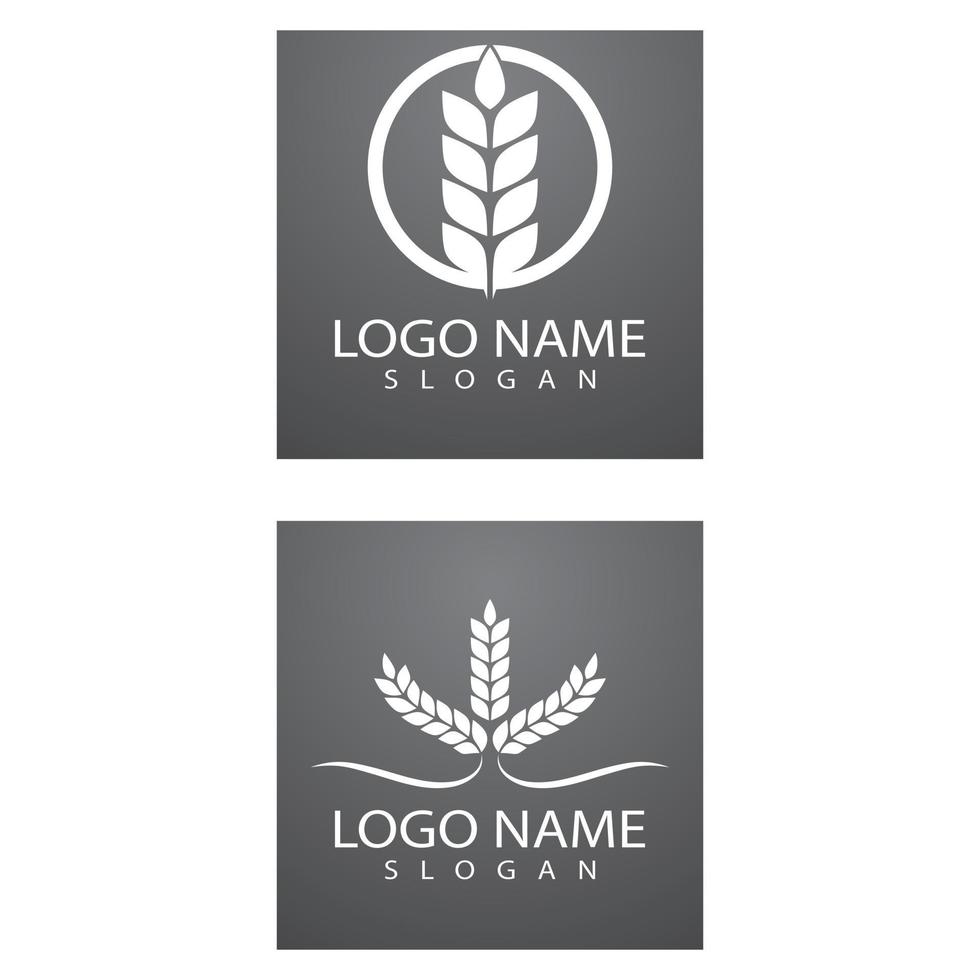 Landwirtschaft Weizen Logo Vorlage Vektor Icon Design