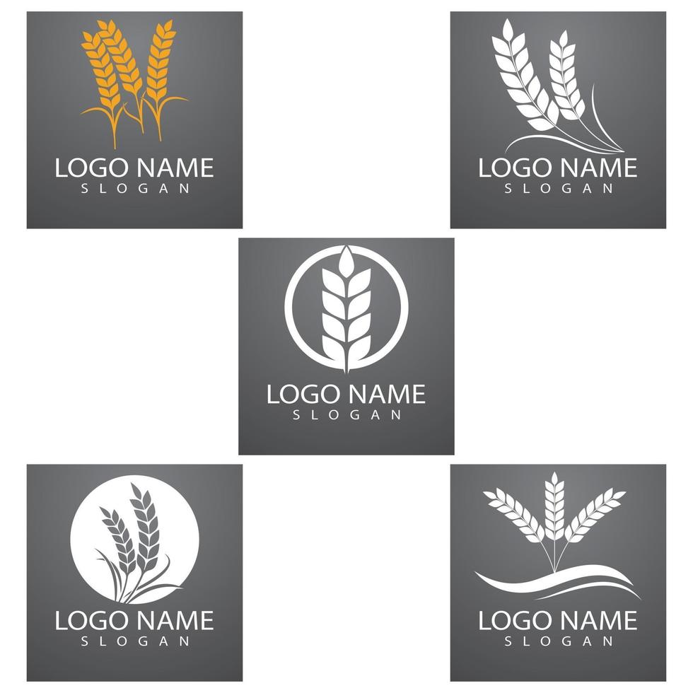 Landwirtschaft Weizen Logo Vorlage Vektor Icon Design