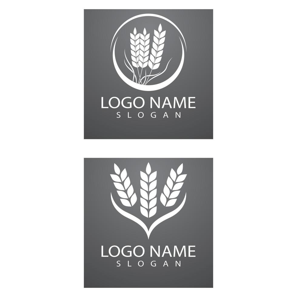 Landwirtschaft Weizen Logo Vorlage Vektor Icon Design